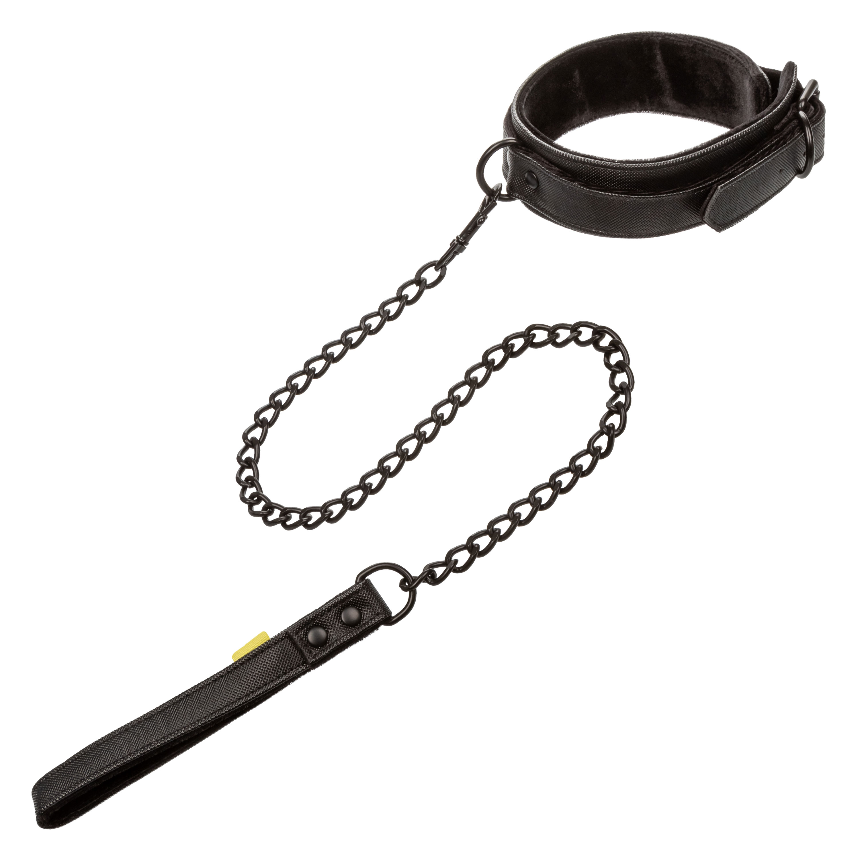 boundless collar  leash 