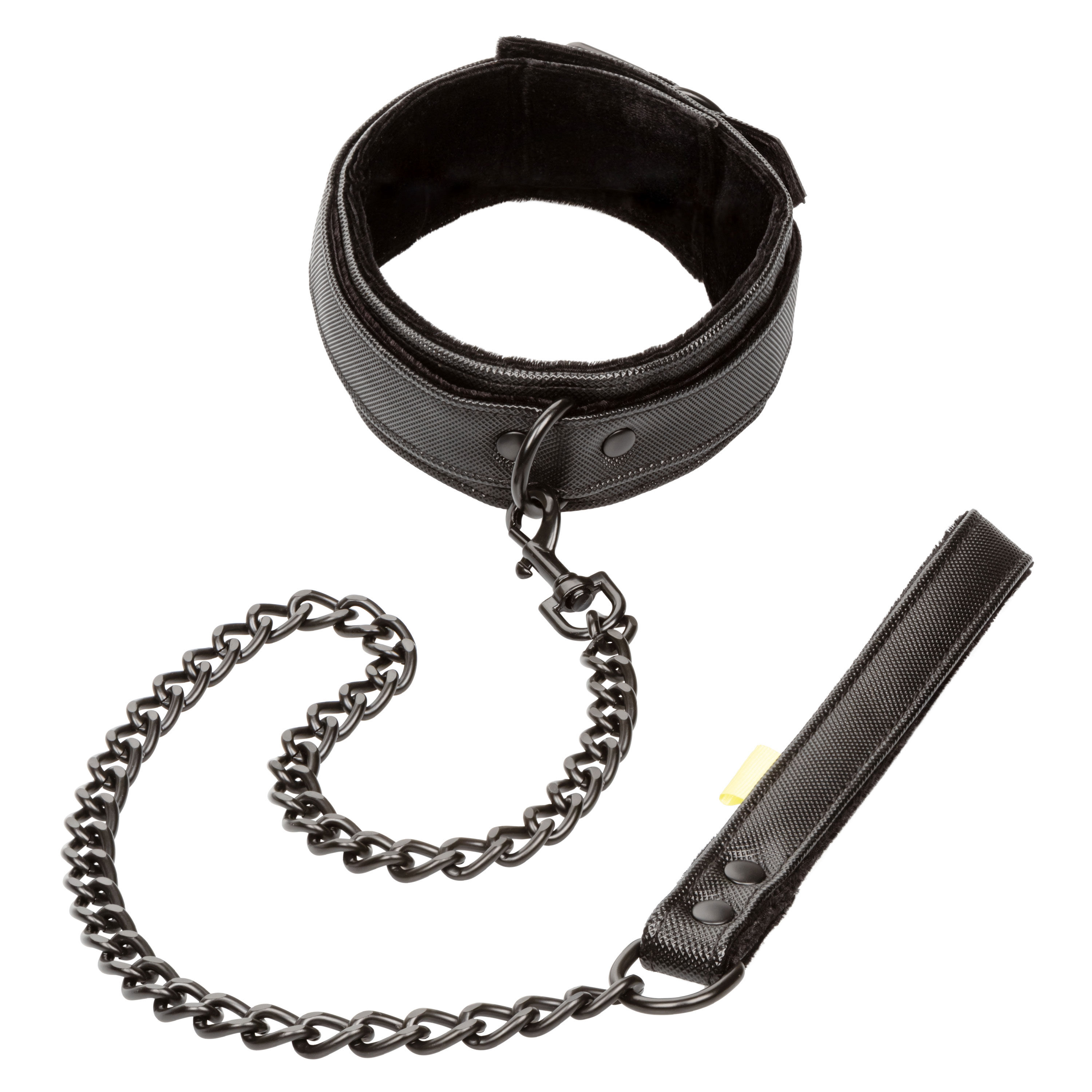 boundless collar  leash 