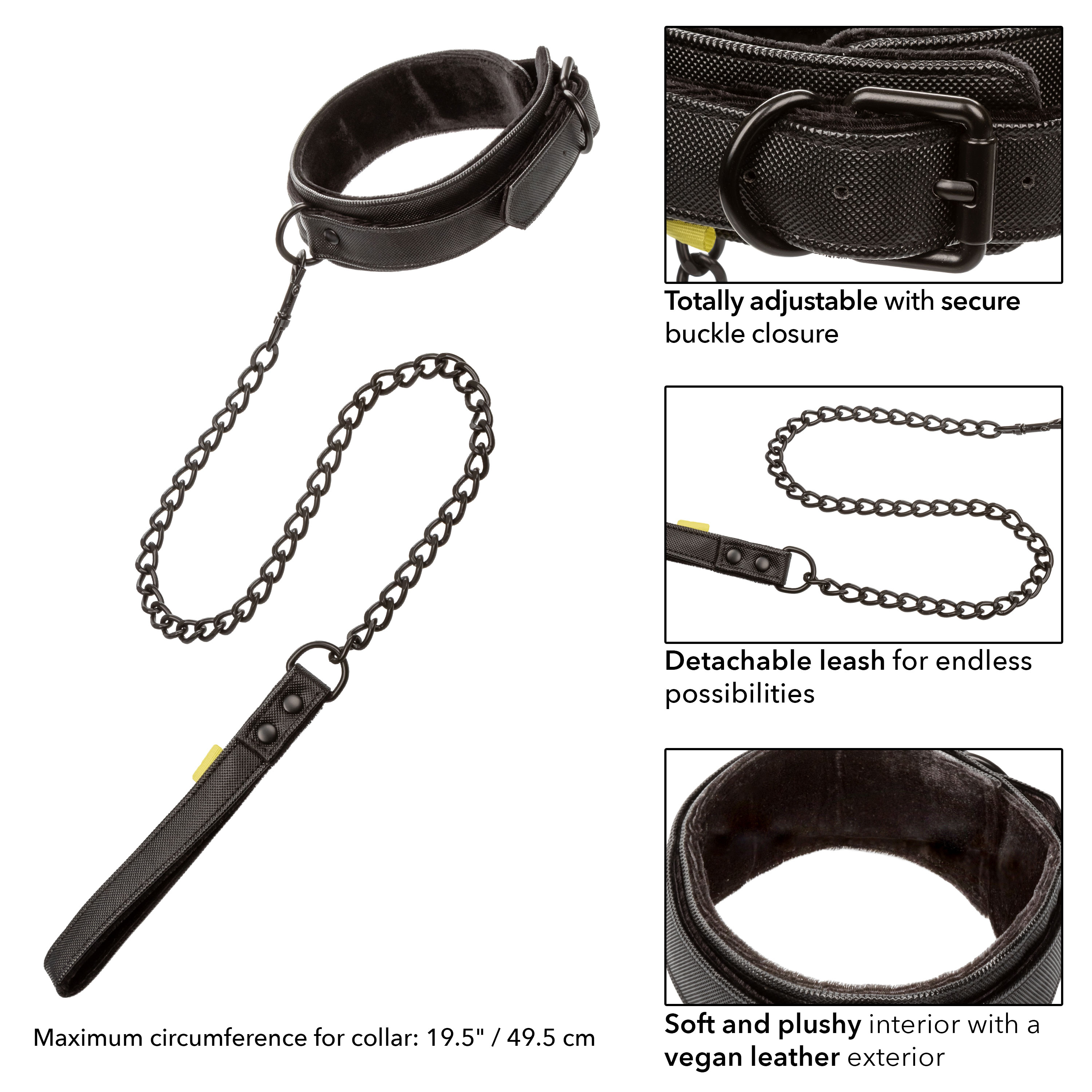 boundless collar  leash 