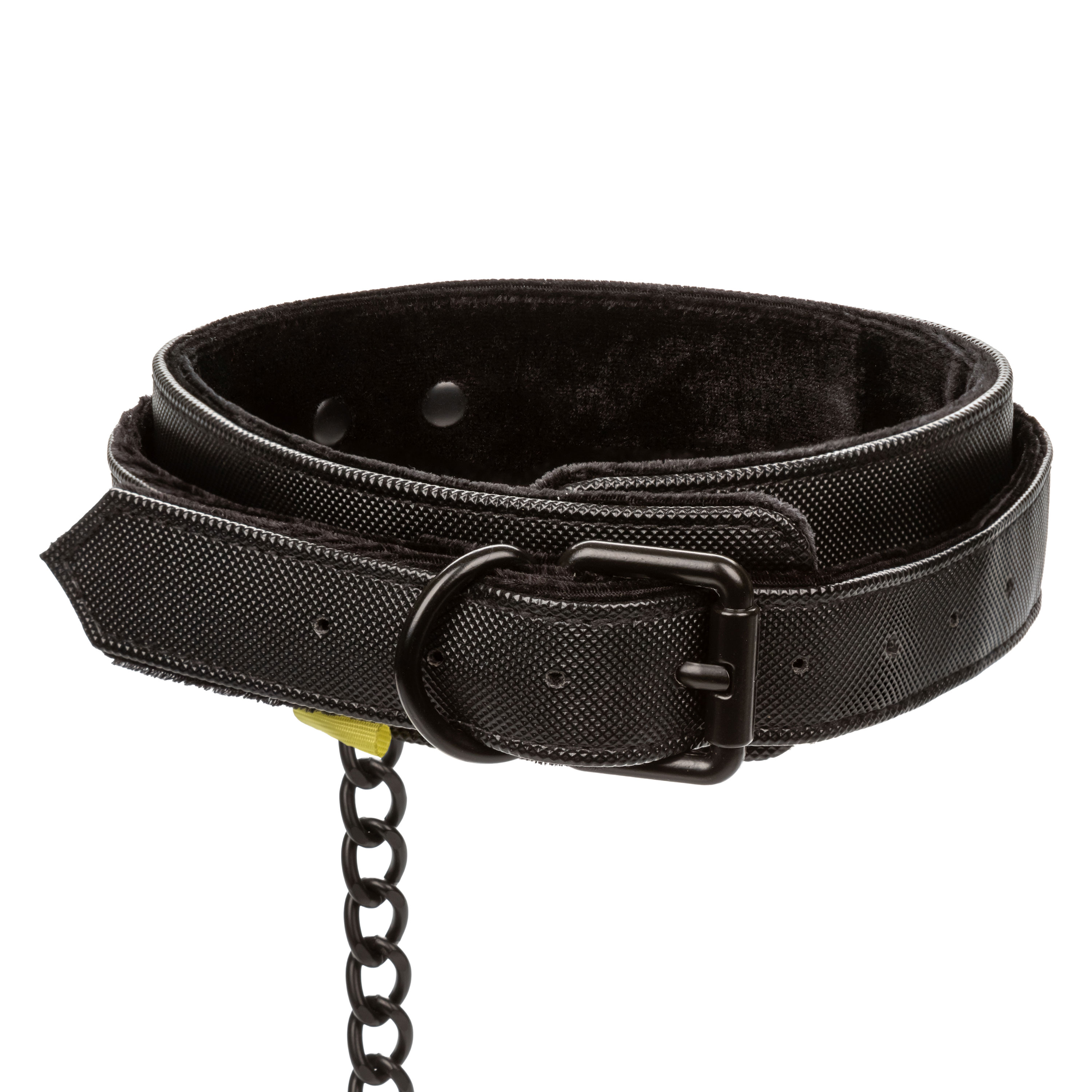 boundless collar  leash 