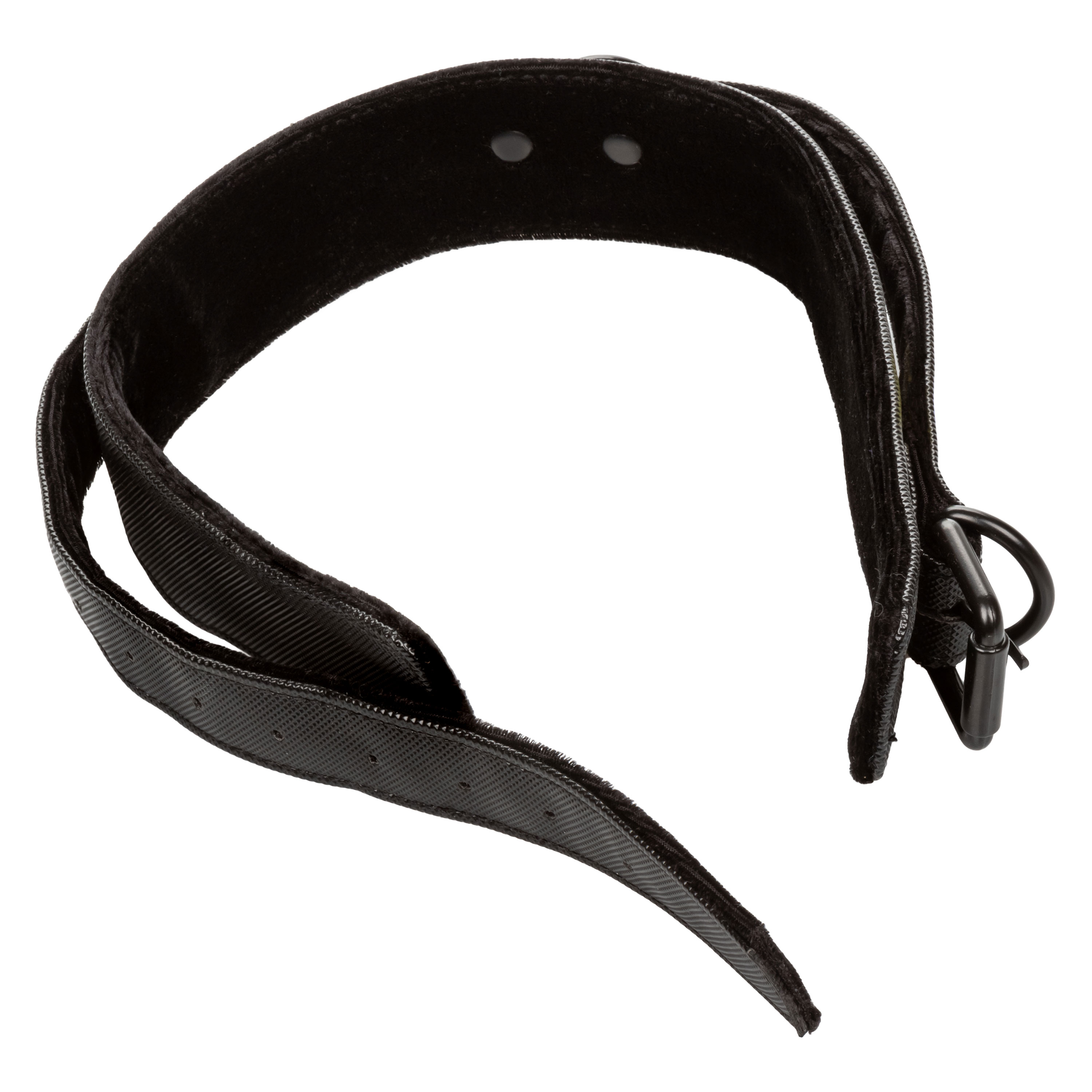 boundless collar  leash 