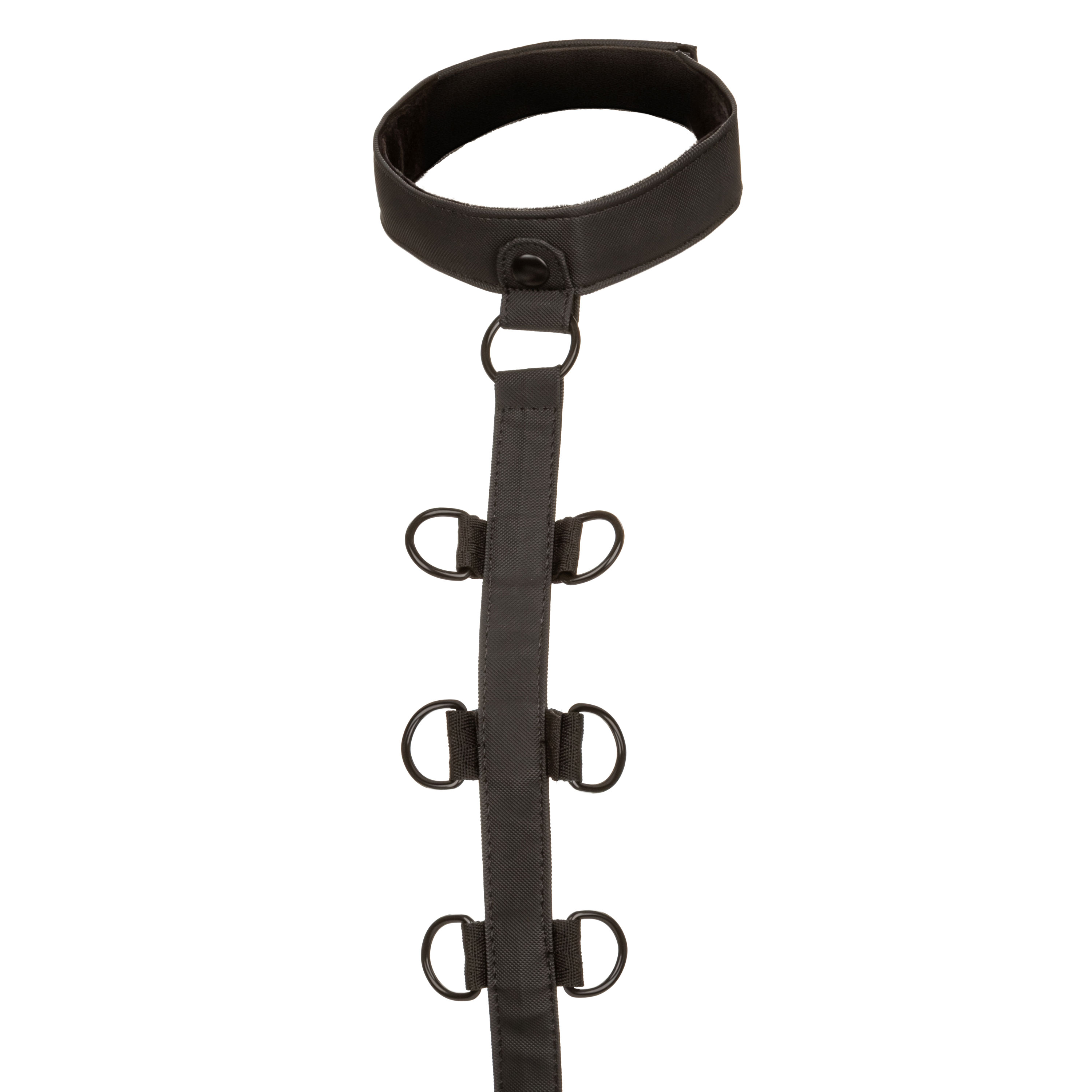 boundless collar body restraint black 