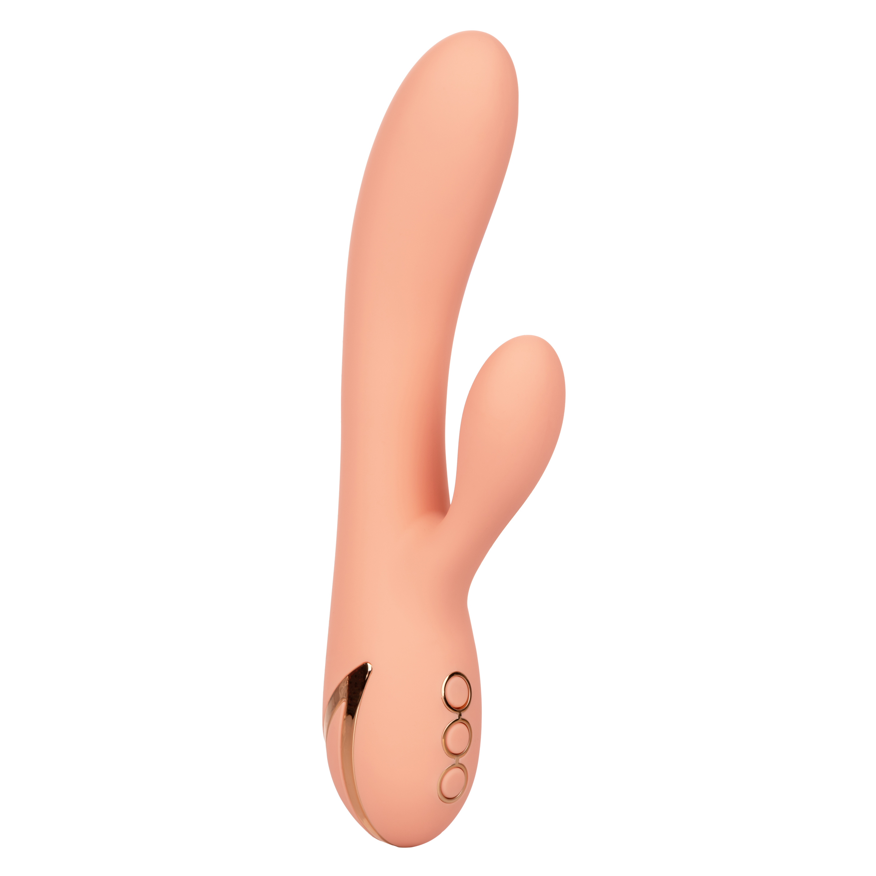 c Xp DdjBW RvscBRXS Zu FvX EbHLOU