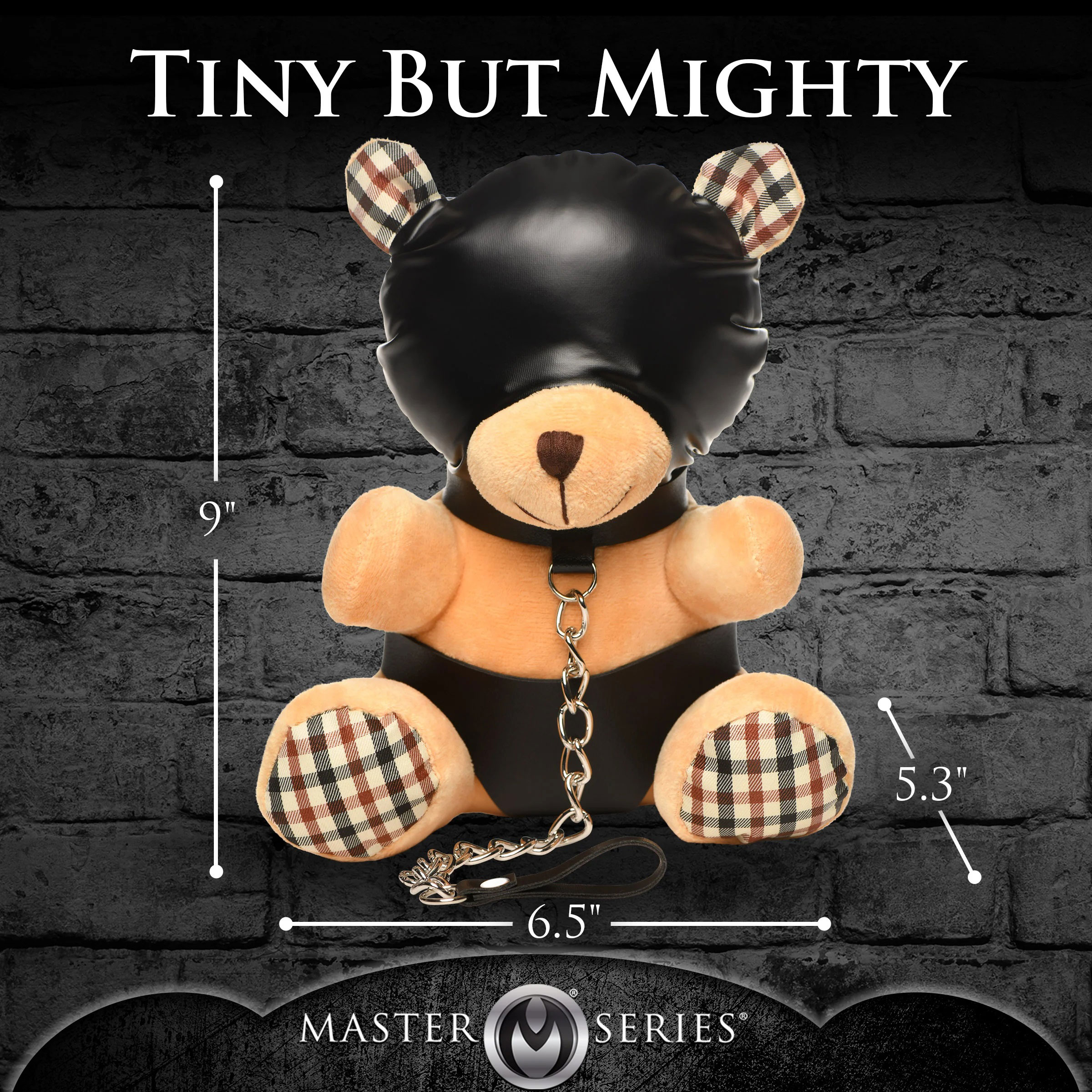 hooded teddy bear plush 