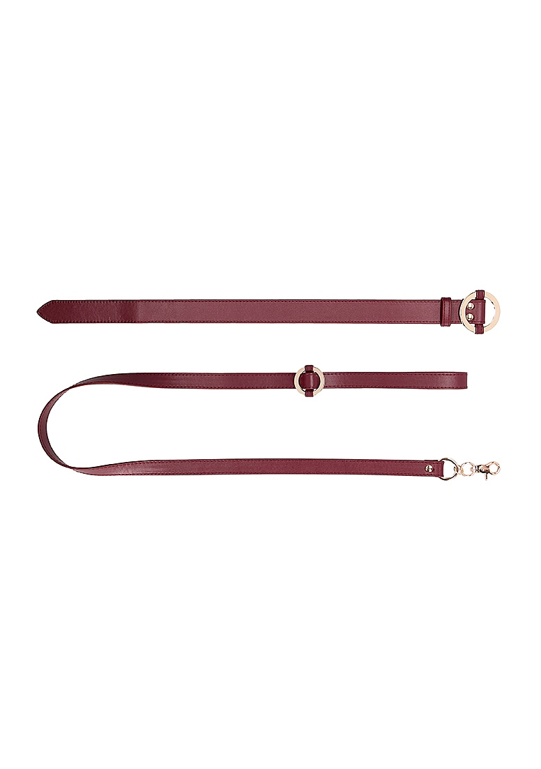 ouch halo collar with leash burgundy 