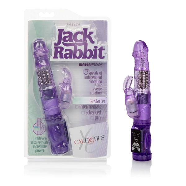 petite jack rabbit purple 