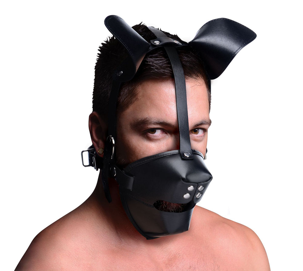 pup puppy play hood and breathable ball gag 