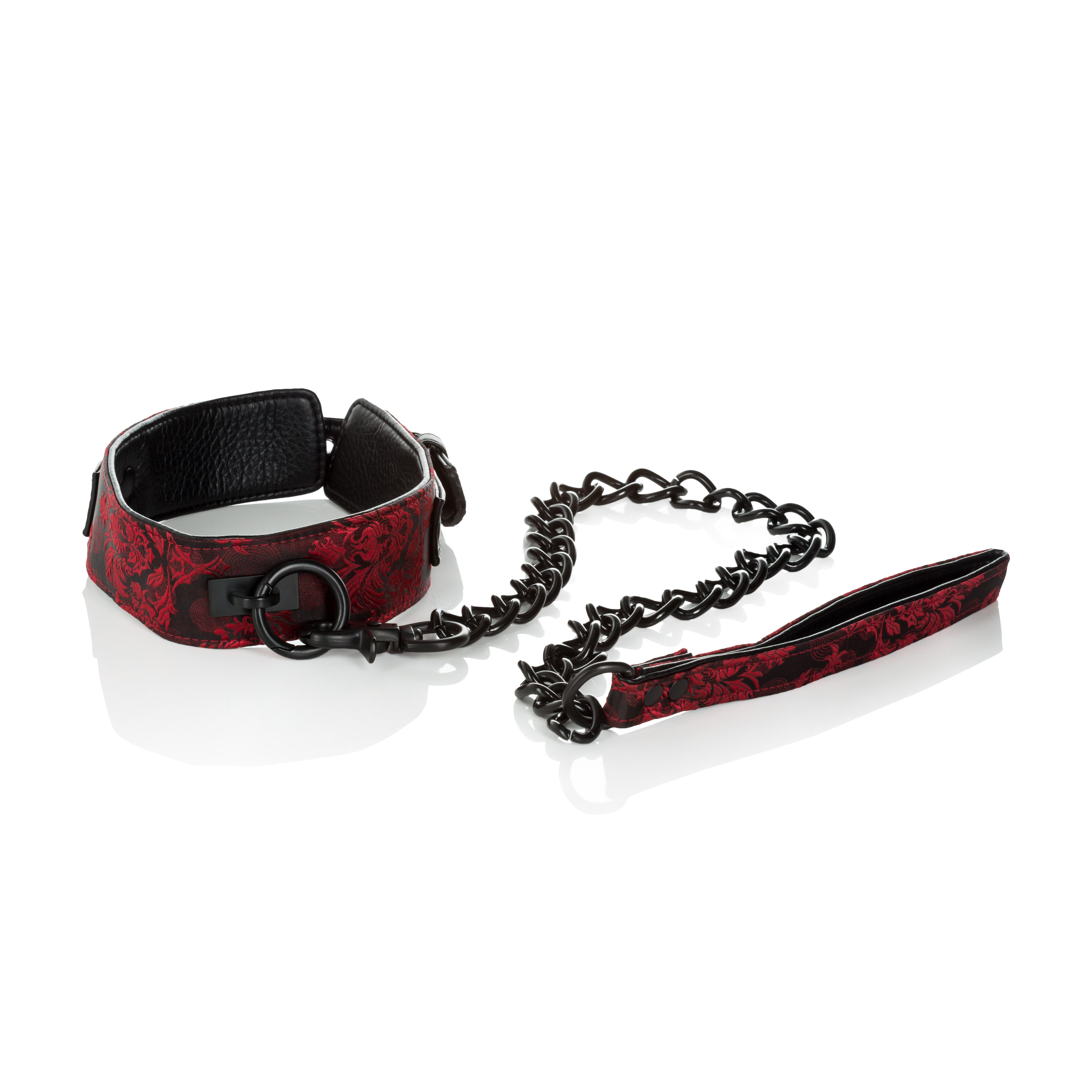 scandal collar with leash 