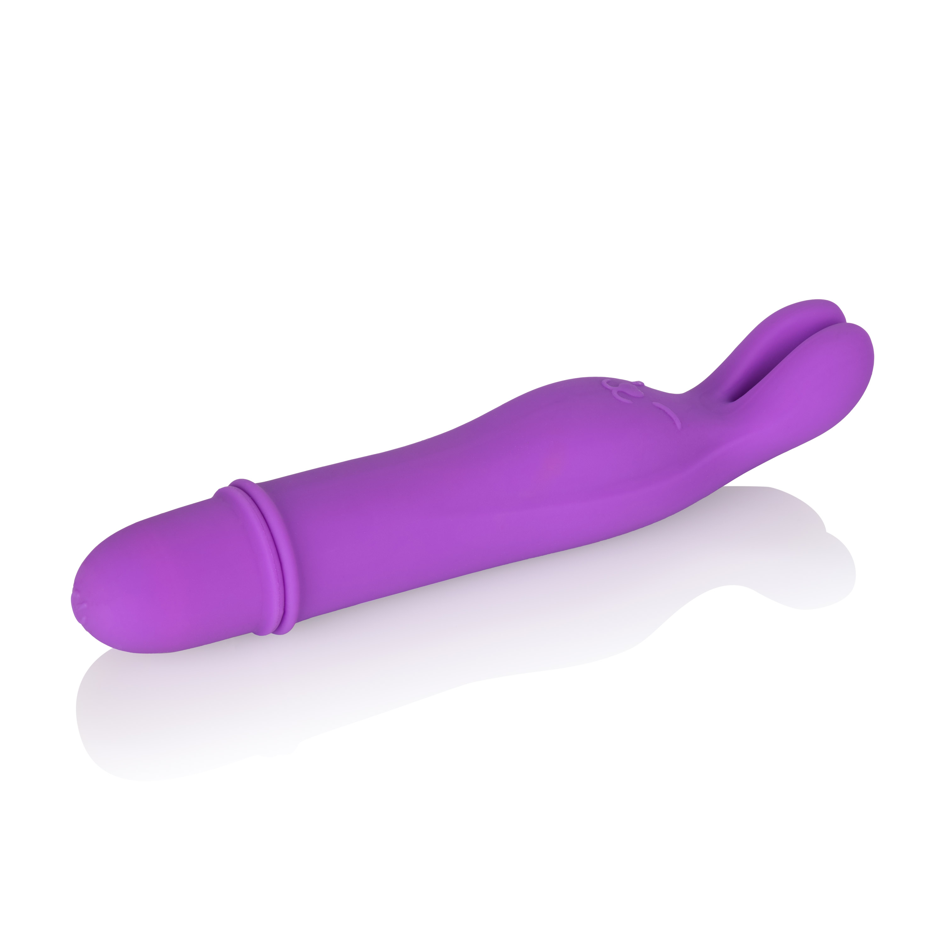 shanes world bedtime bunny purple 