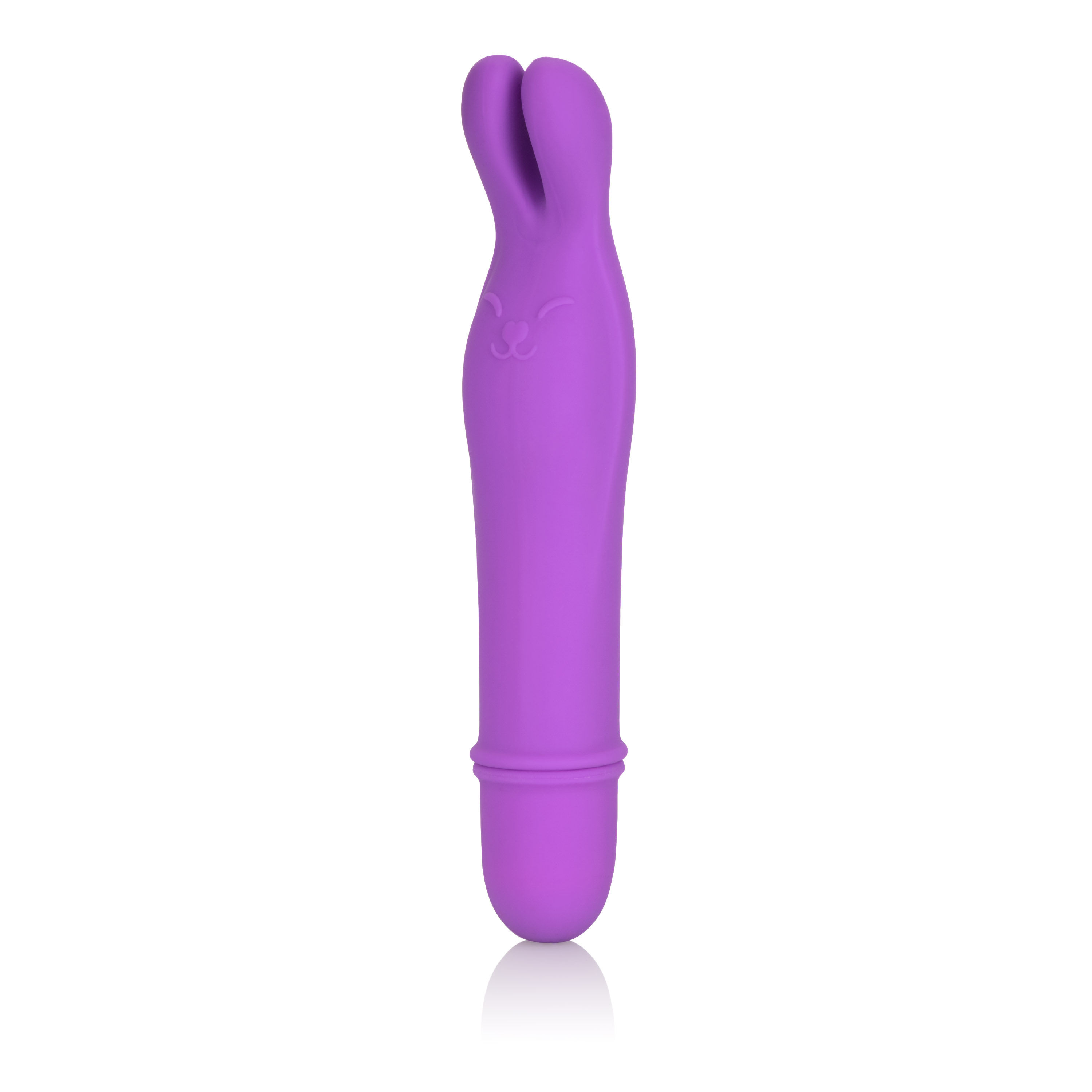 shanes world bedtime bunny purple 