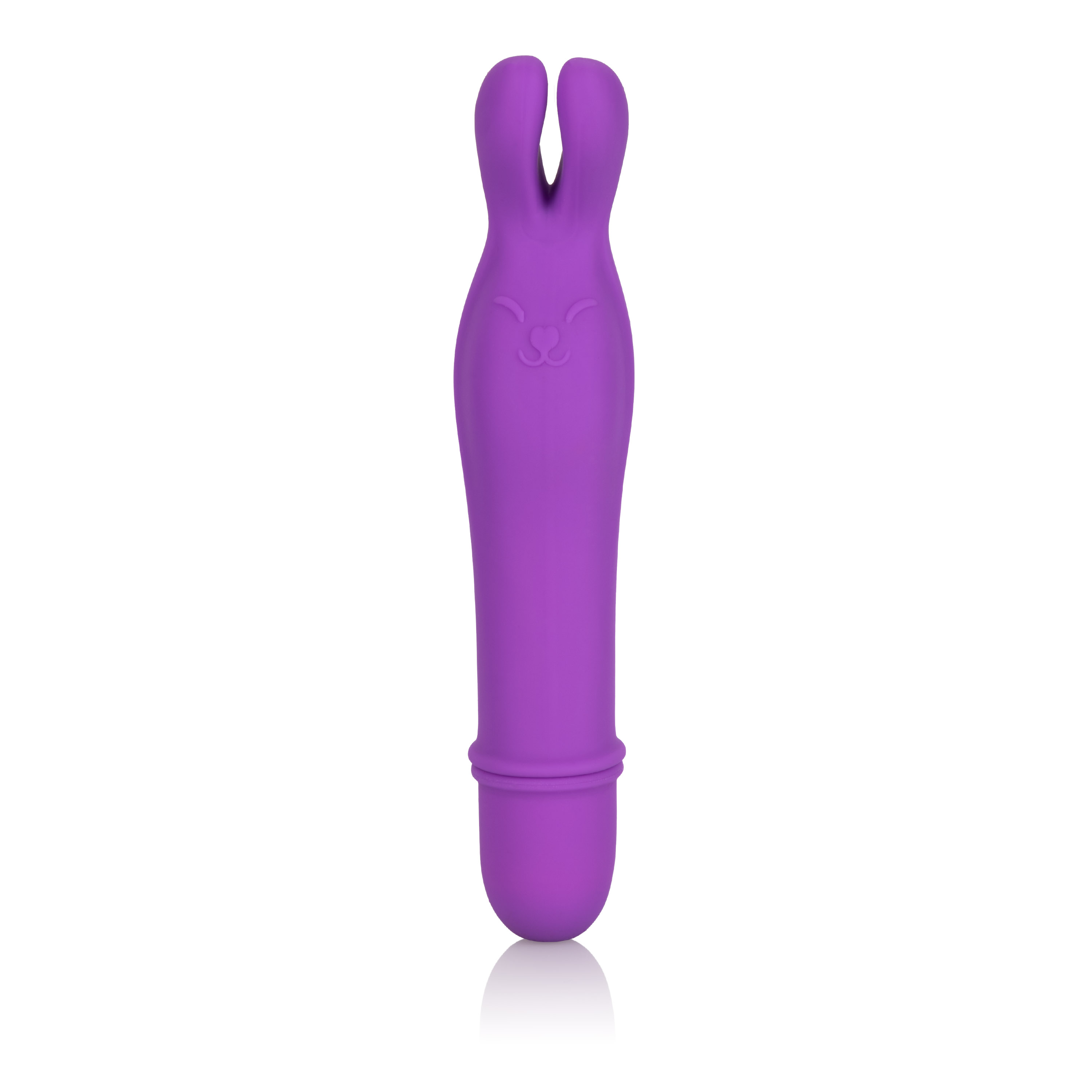 shanes world bedtime bunny purple 