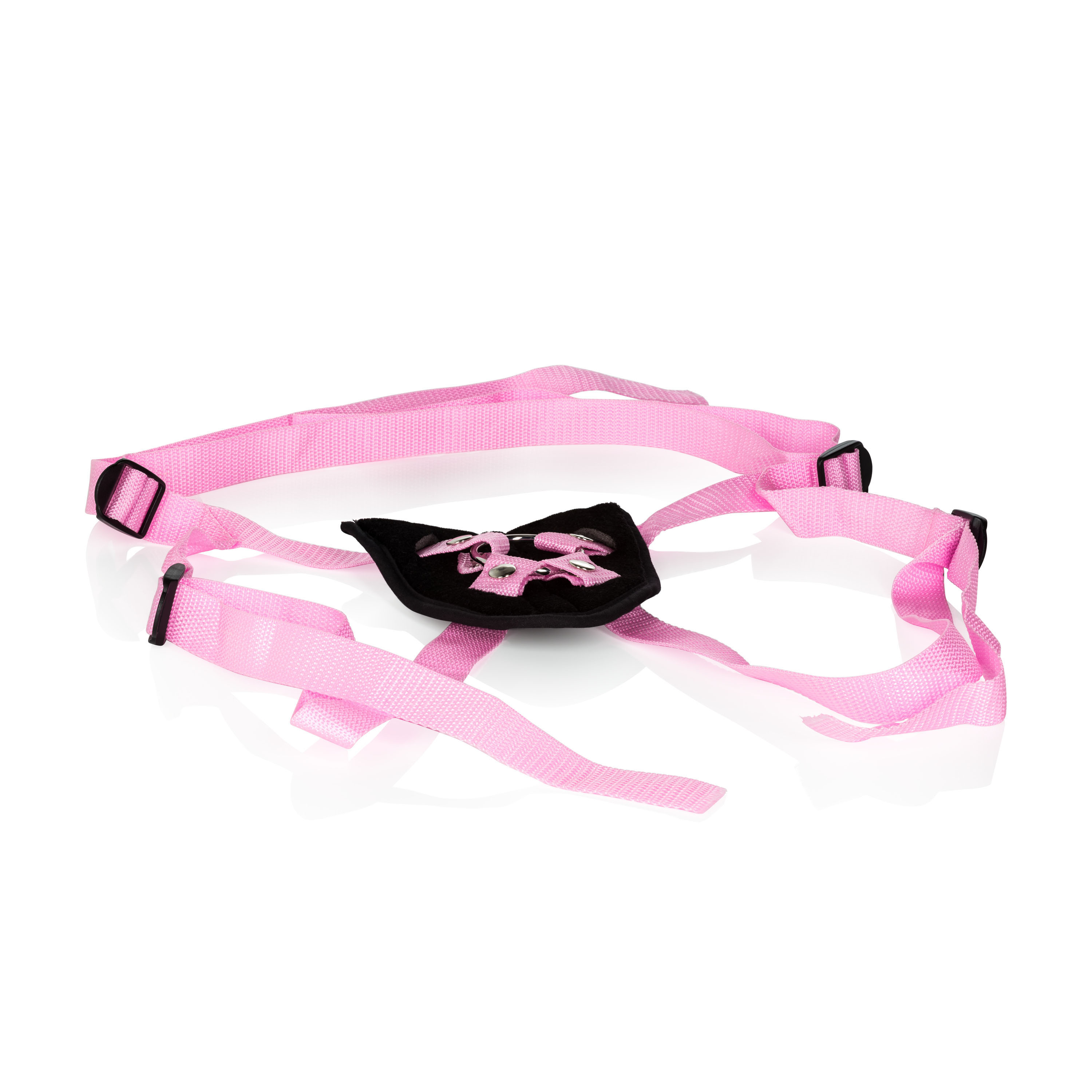 shanes world harness with stud pink .JPG