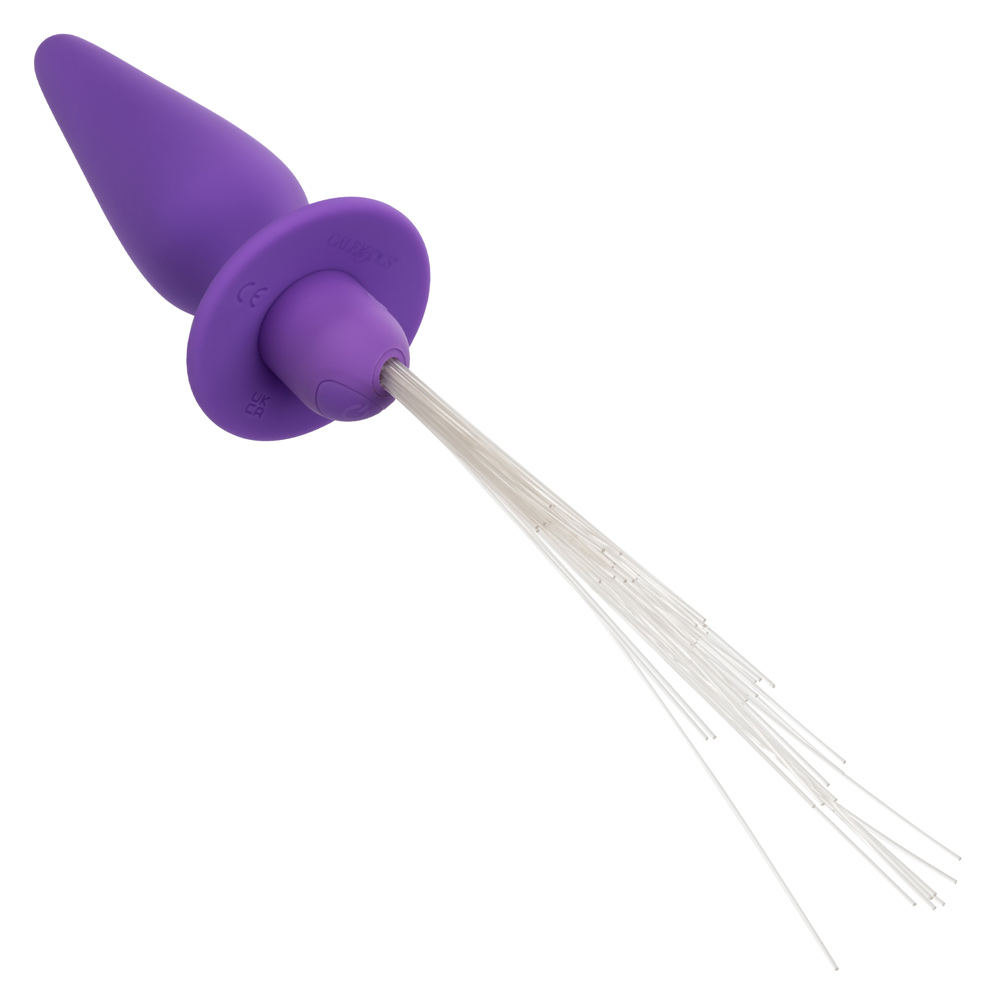 southern lights vibrating light up anal probe  purple 