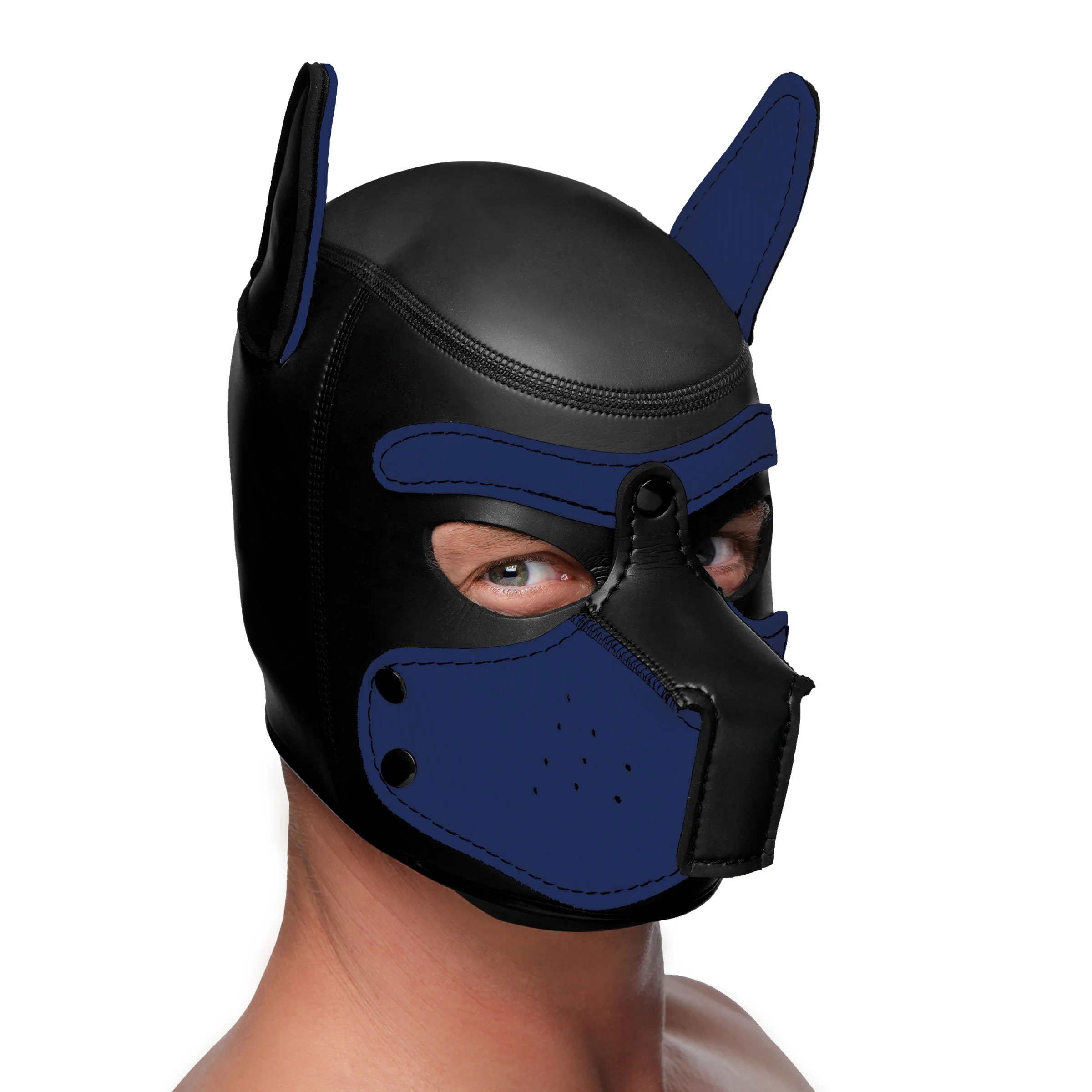 spike neoprene puppy hood blue 