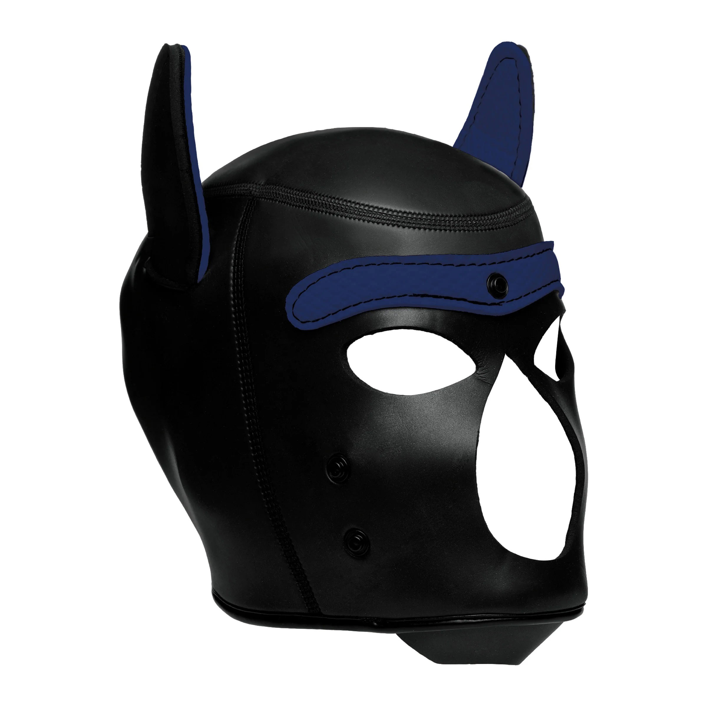 spike neoprene puppy hood blue 