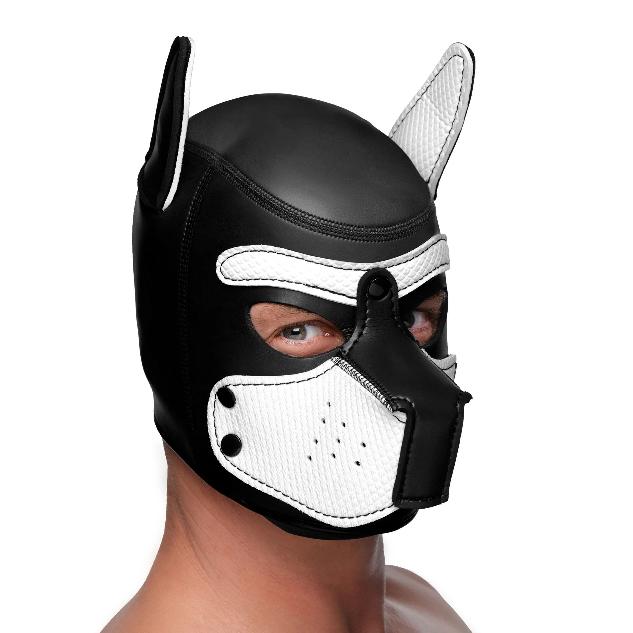 spike neoprene puppy hood white 